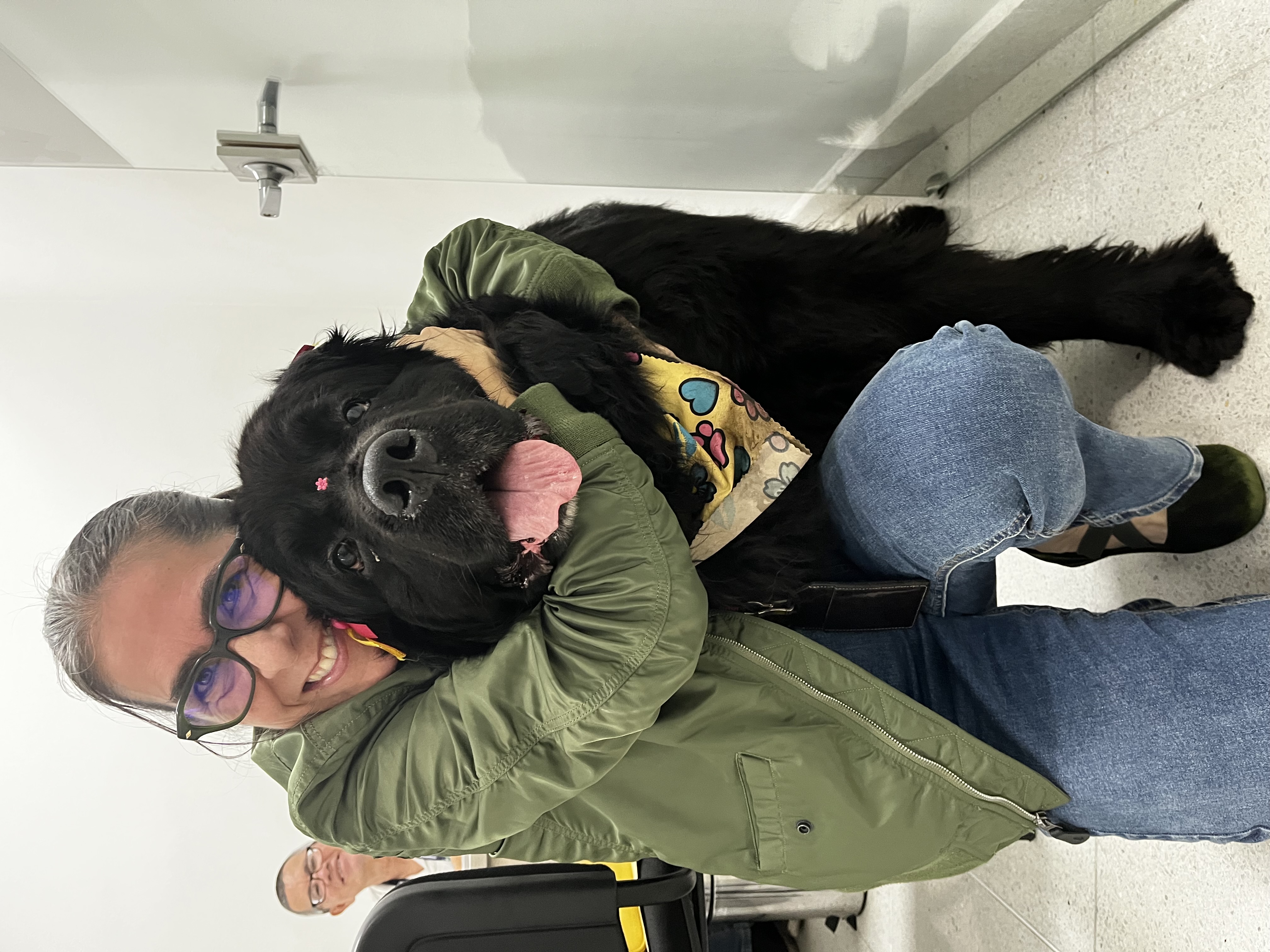 Pausas activas y descargas